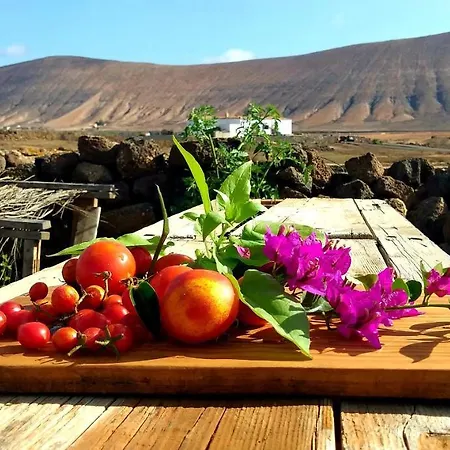 Glamping Corner - Back To Nature *